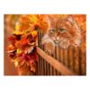 가을 풍경 고양이 큐빅십자수 보석사각큐빅 DIY C1716